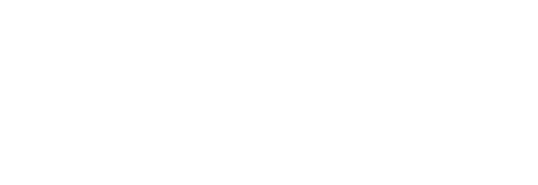 Logo Forte