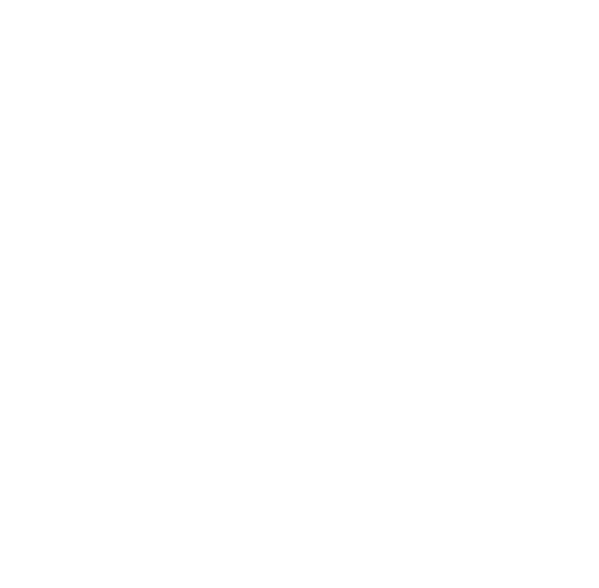 Logo Il Castello