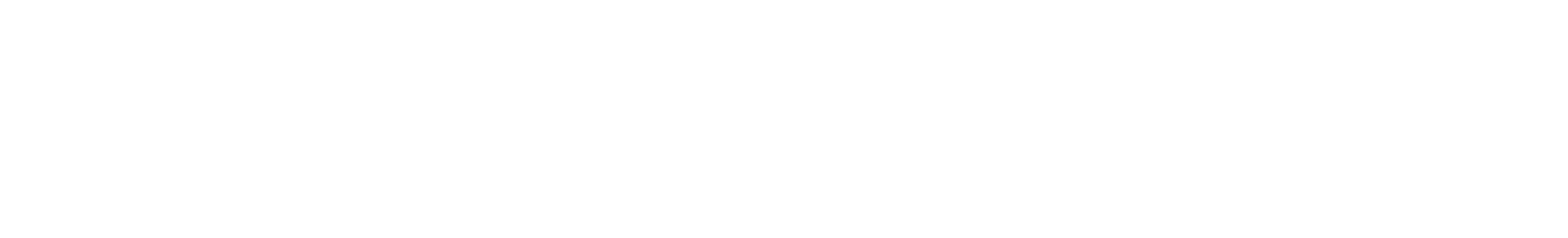 Lionermedia