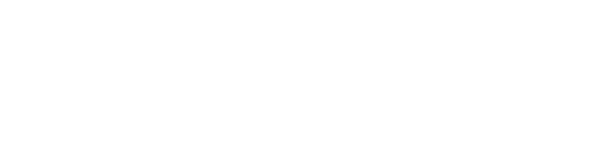 Logo Napolini